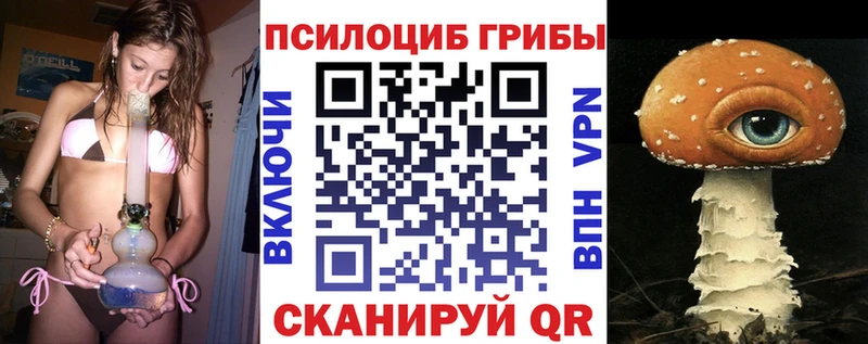 Псилоцибиновые грибы MAGIC MUSHROOMS  где купить наркотик  Ковылкино 
